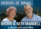Heroes of Israel: Sherri & Seth Mandell