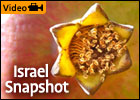 Israel Snapshot